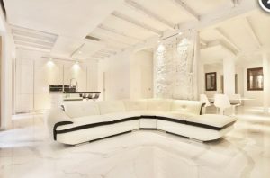 8 Plantas Para Las Zonas De Sombra De Tu Jardn Anova